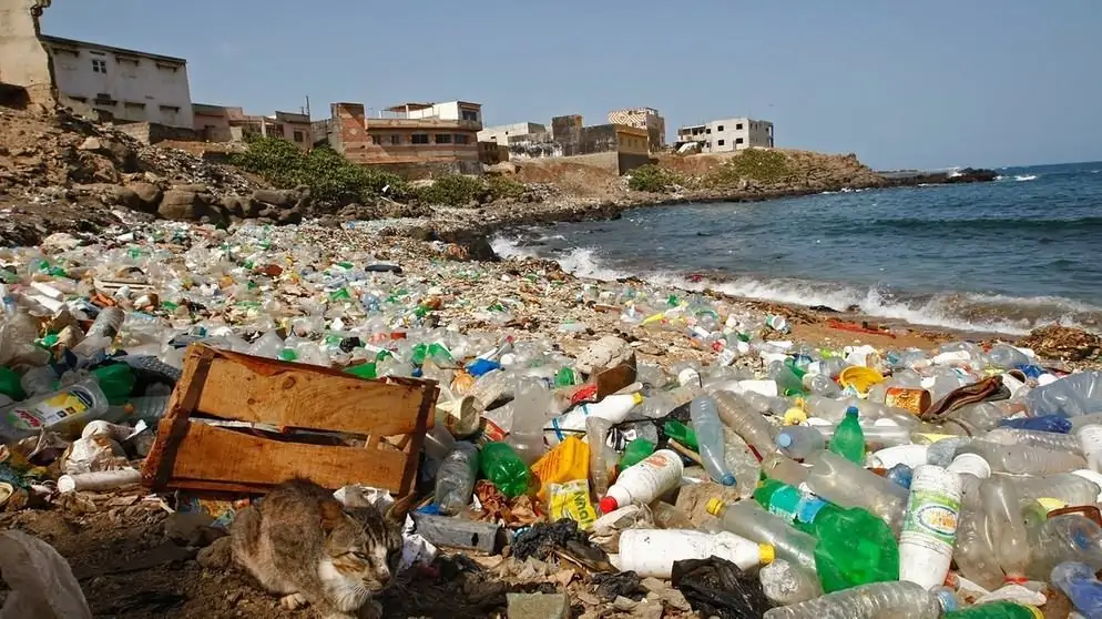 Plastic waste in the oceans and on the coasts