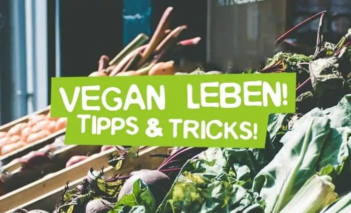 Vegan life - tips and tricks for the vegan start