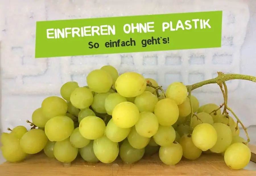 Einfrieren ohne Plastik - Plastikfrei im Glas einfrieren