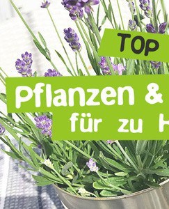 Plastikfreie Küche - Küche ohne Plastik organisieren