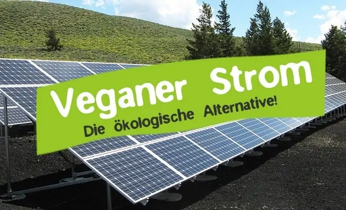 Vegan electricity and green electricity - The ecological electricity