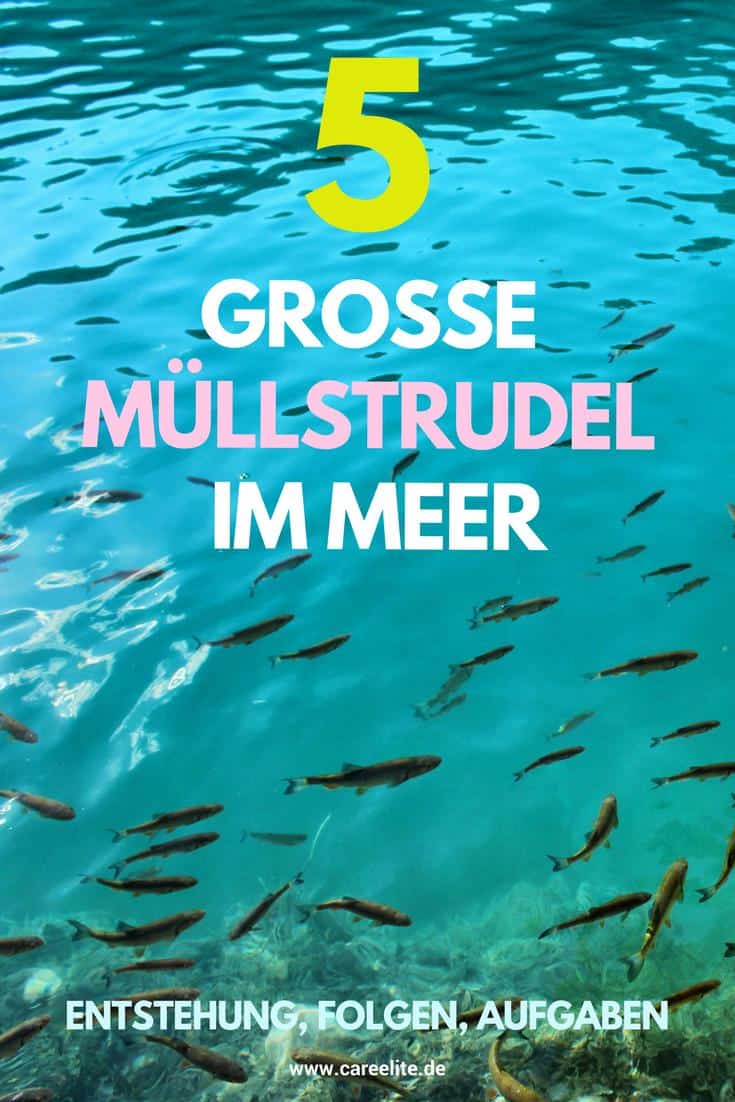 Die 5 Grossen Mullstrudel Im Meer Meeresstrudel Mull Careelite