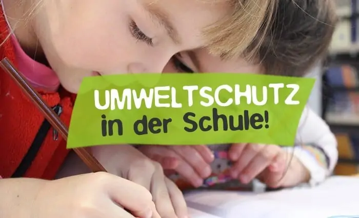 Environmental protection as a school subject