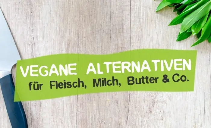 Vegan alternatives for animal products plant based substitutes