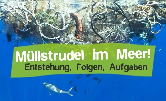 Large garbage patches in the sea