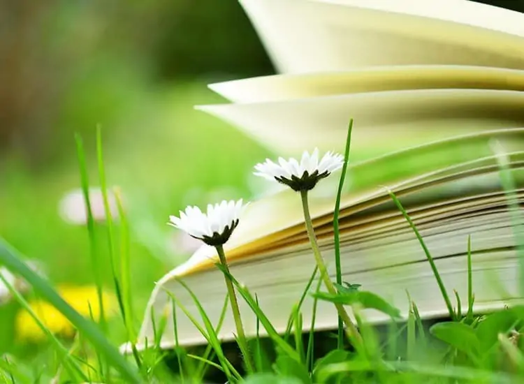Sustainability book - buy books about sustainability reading