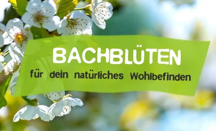 Antworten zu Herkunft, Wirkung und Anwendung von Bachblüten