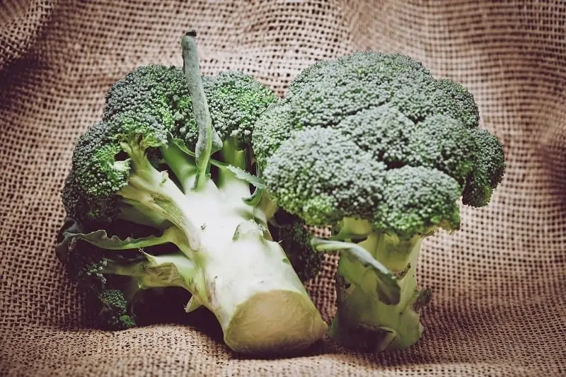 Brokkoli als Vegane Proteinquelle zum Proteine vegan abdecken