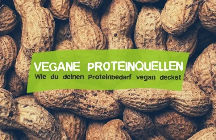 Vegan protein sources