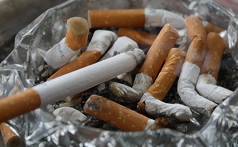 Cigarettes environment - cigarette butts in the environment