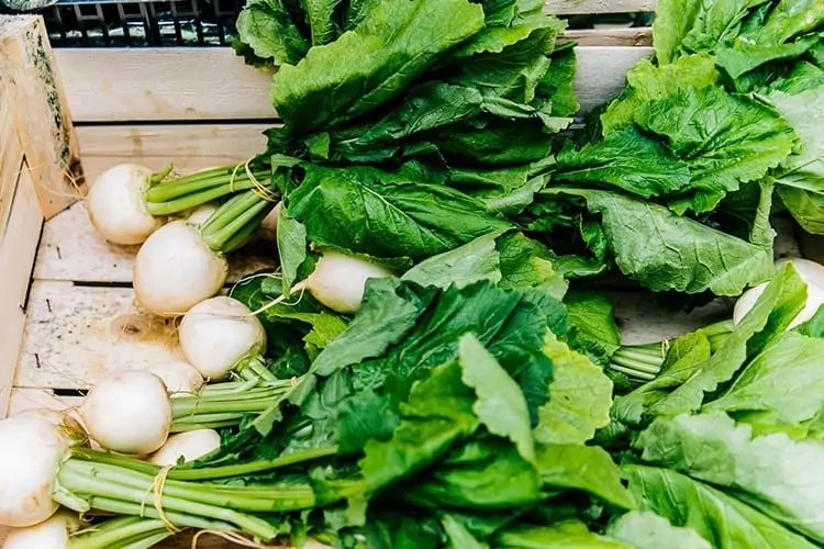 Reduce food waste - facts & figures + tips