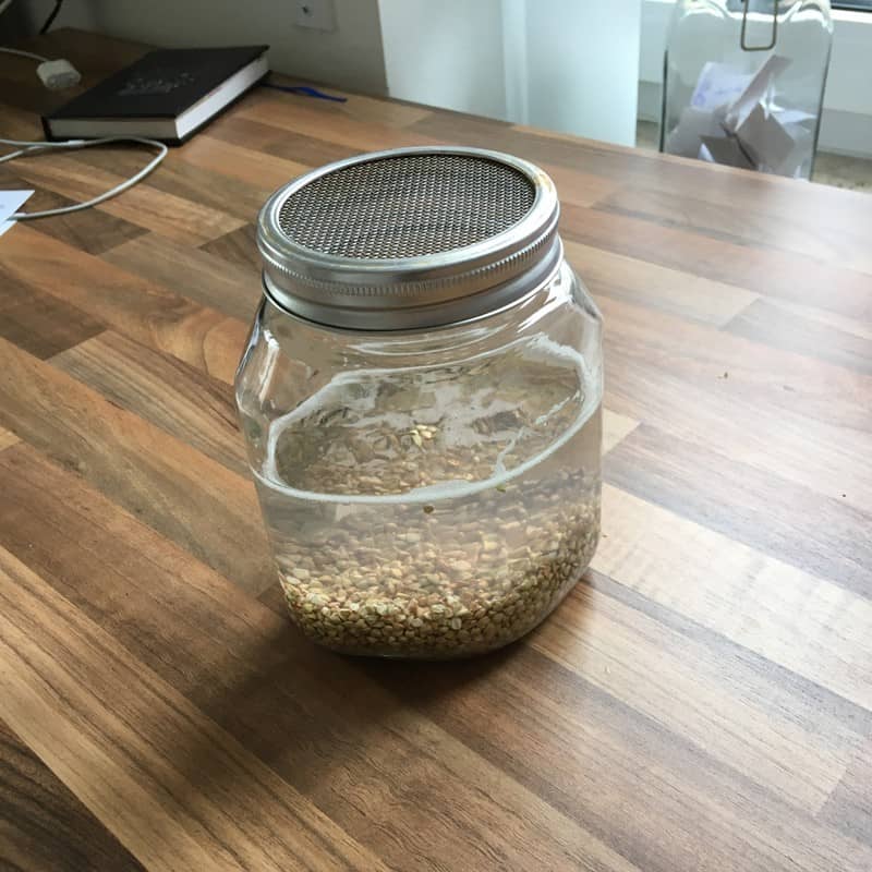 Buckwheat soak Buckwheat germinate Buckwheat muesli