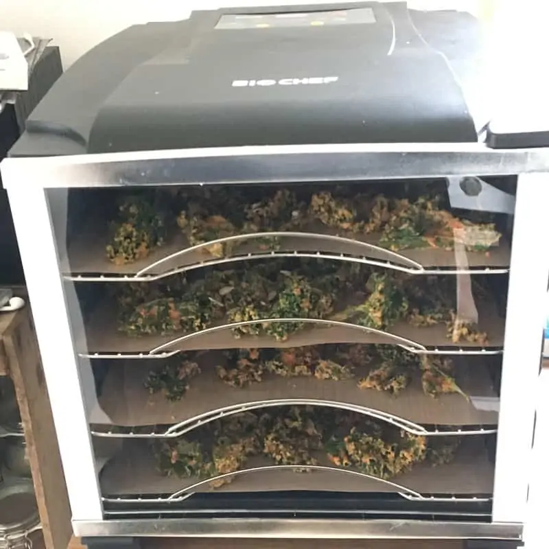 Make your own kale chips with dehydrator