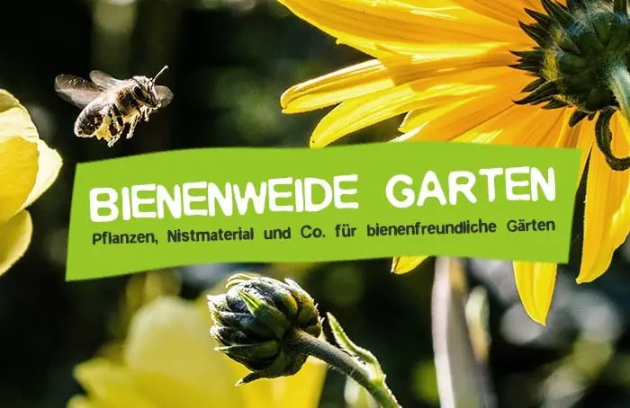 Bienenweide Garten bienenfreundlich anlegen - Pflanzen für Bienen