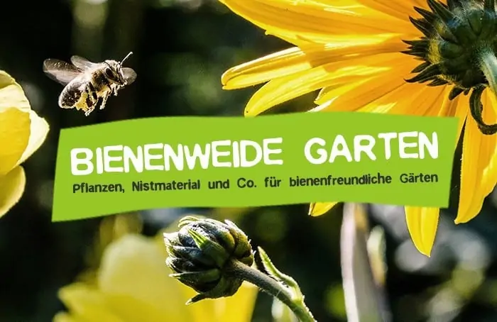 Bienenweide Garten bienenfreundlich anlegen - Pflanzen für Bienen