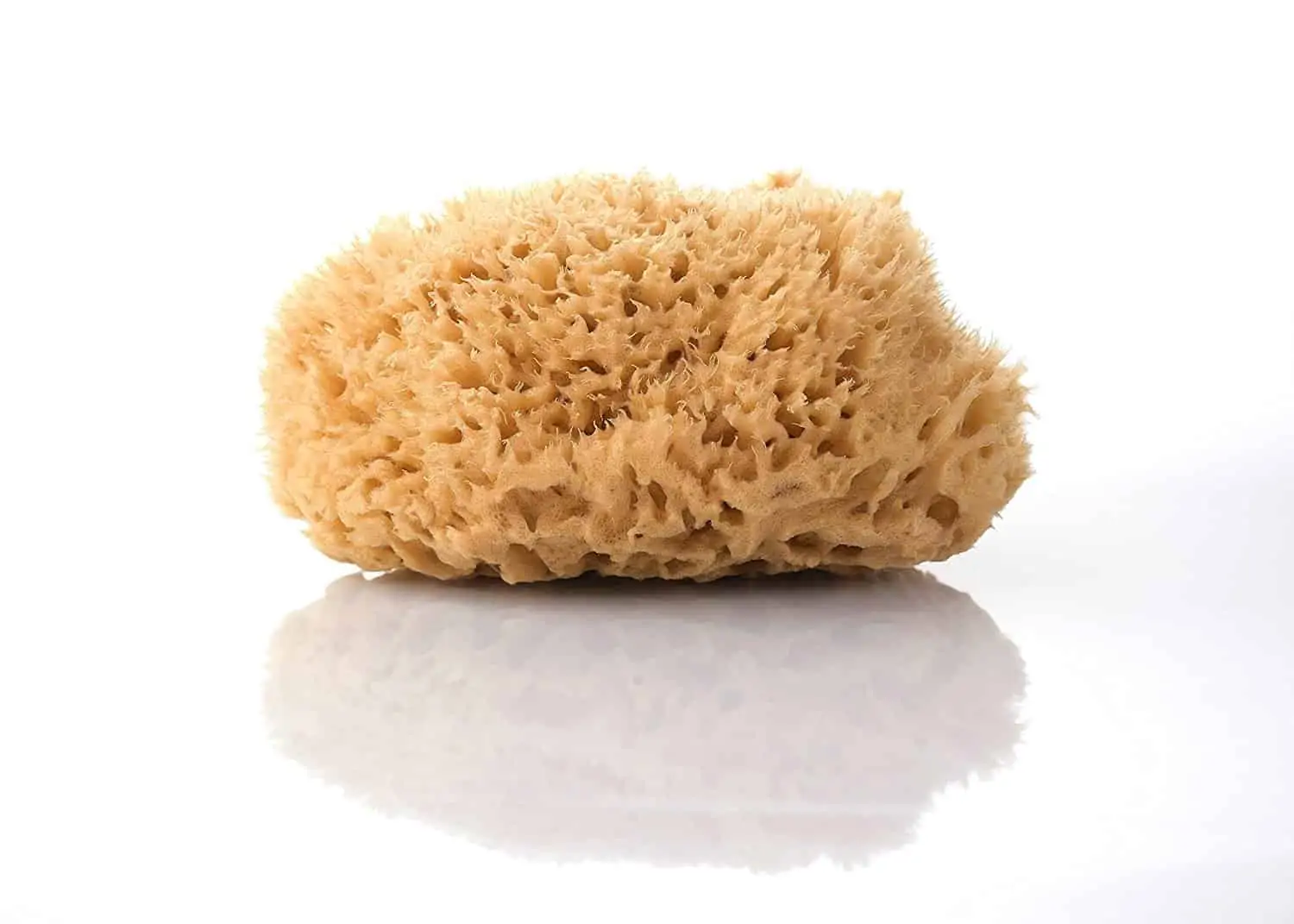 Monthly hygiene without plastic - sponges