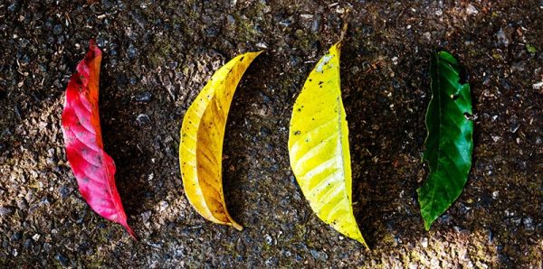 Mülltrennung - Wie du Müll richtig trennst | CareElite