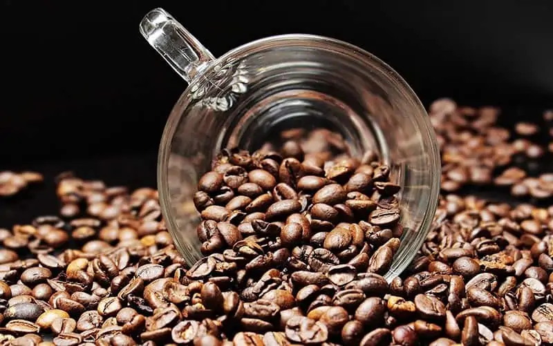Kaffee gesund oder ungesund? Koffein und Gesundheit