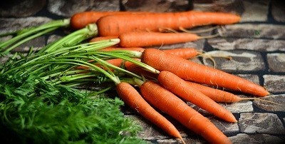 Carrots - food regrowth