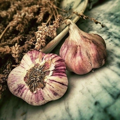 Garlic - food replant
