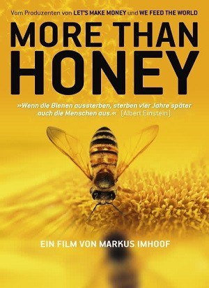 More than honey - Dokumentation Nachhaltigkeit