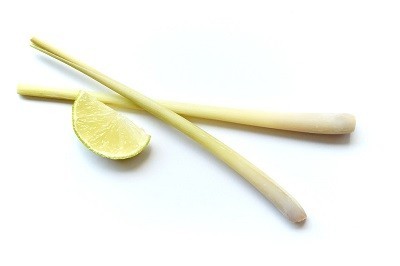 Lemongrass - food propagate