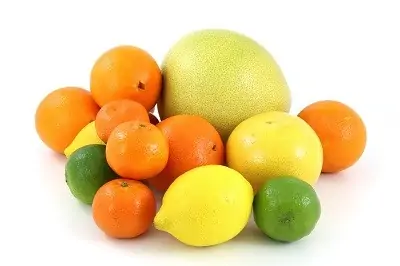 Citrus - multiply food