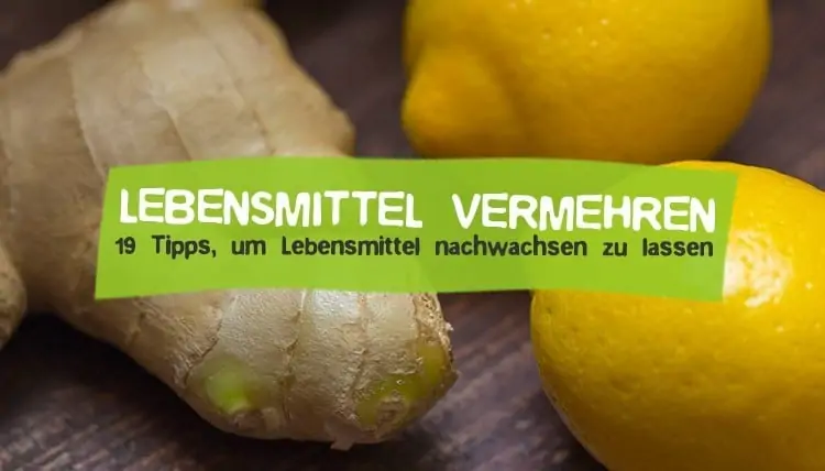 Propagate and regrow food - Regrow