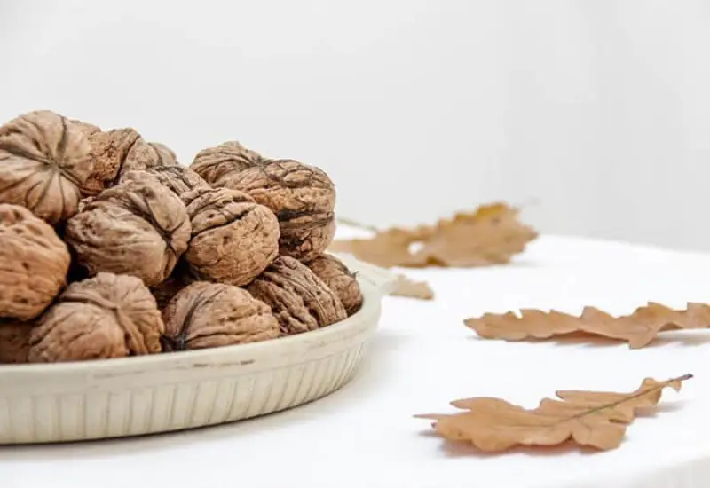 Natürliche Geschenkverpackung aus Naturmaterialien