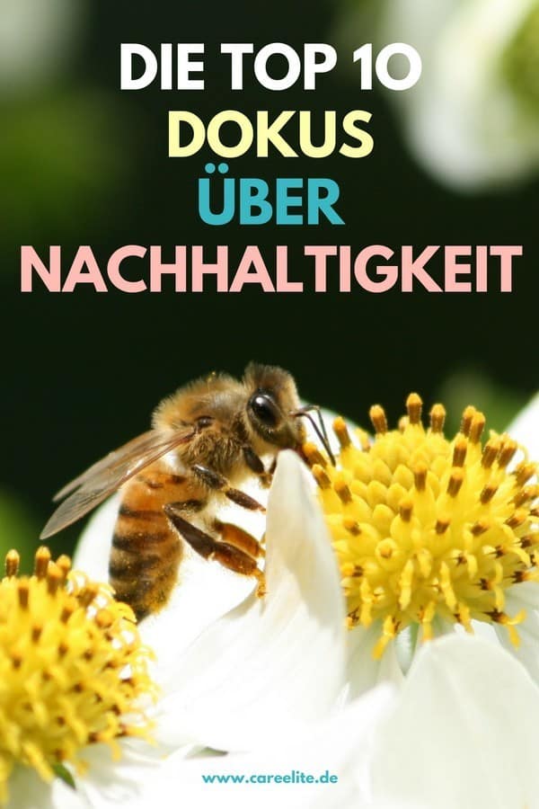 Top Dokus Top Dokus