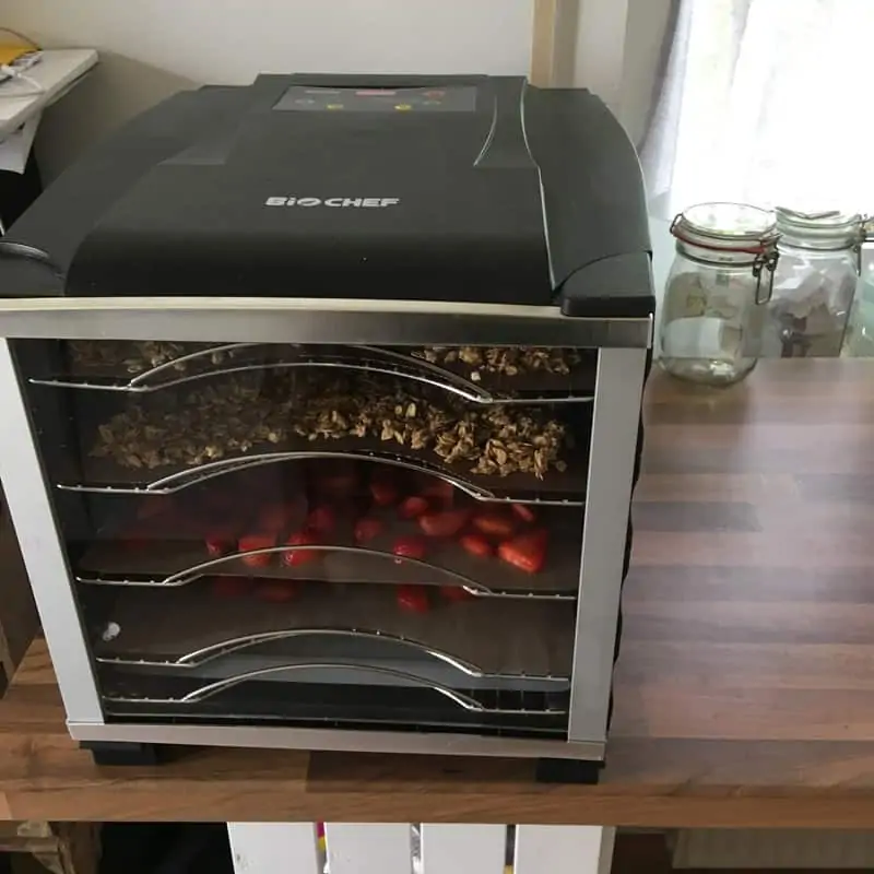 Drying strawberries in the dehydrator