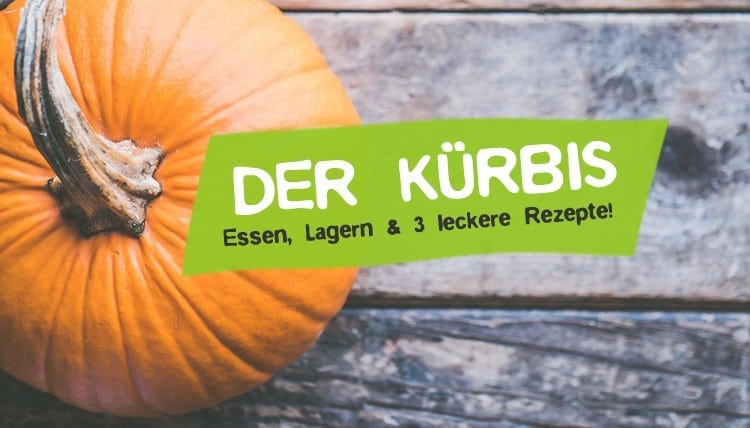 Kürbis Rezepte gesund Essen Lagerung Frucht