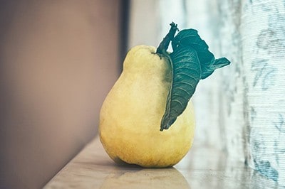 Birnbaum - Lebensmittel nachwachsen lassen und vermehren