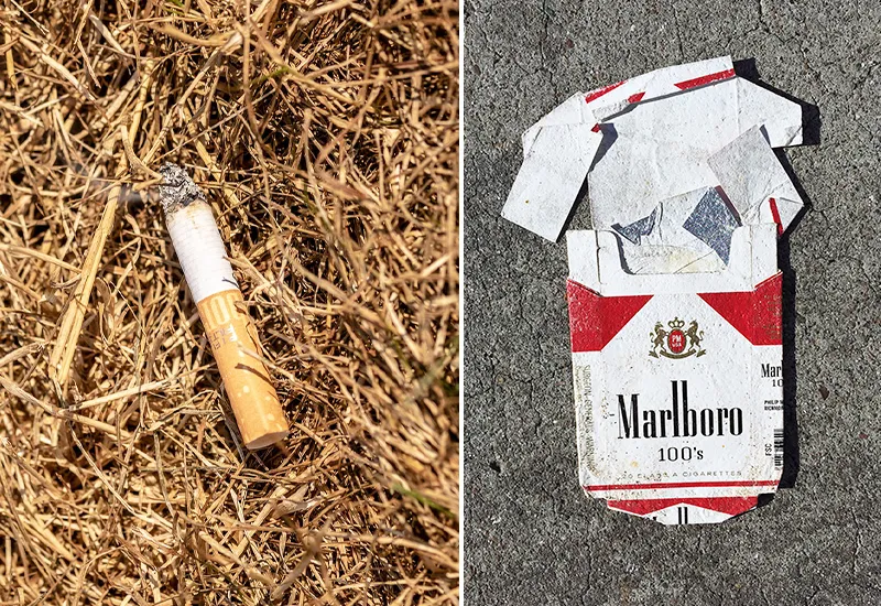 Folgen: Warum darf man Zigaretten nicht wegwerfen und in der Umwelt entsorgen?
