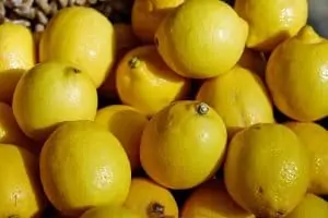 Zitronen Duschgel selber machen