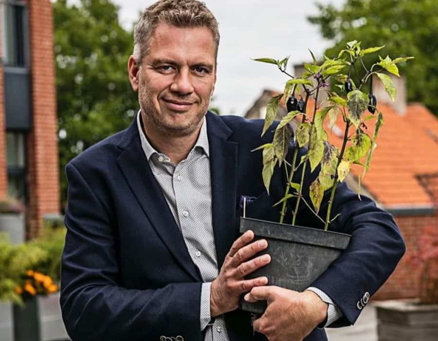 Pflanzbarer Bleistift Pflanze Stift wird zum Baum