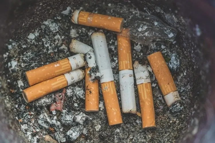 Tabakindustrie soll sich an Kosten von Reinigungsarbeiten beteiligen