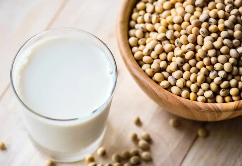 Vegetable milk vegan and sustainable diet tips