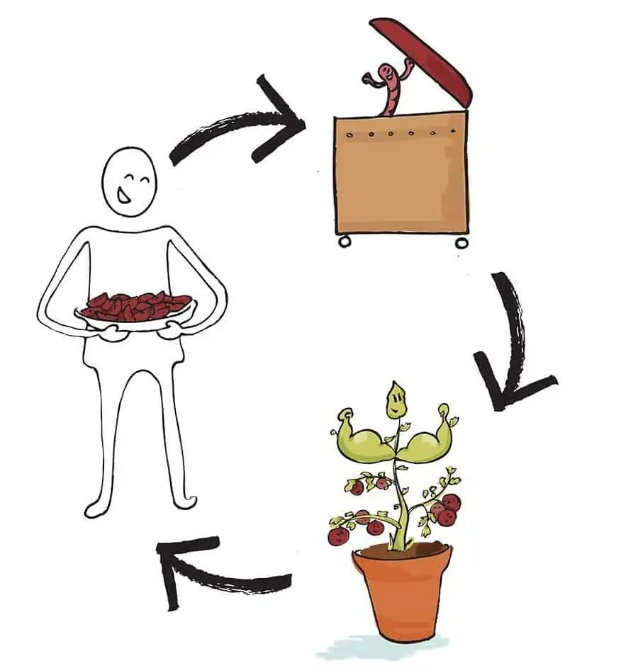Sustainable nutrition in everyday life - tips