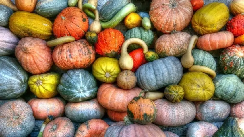 Sustainable nutrition in everyday life - tips