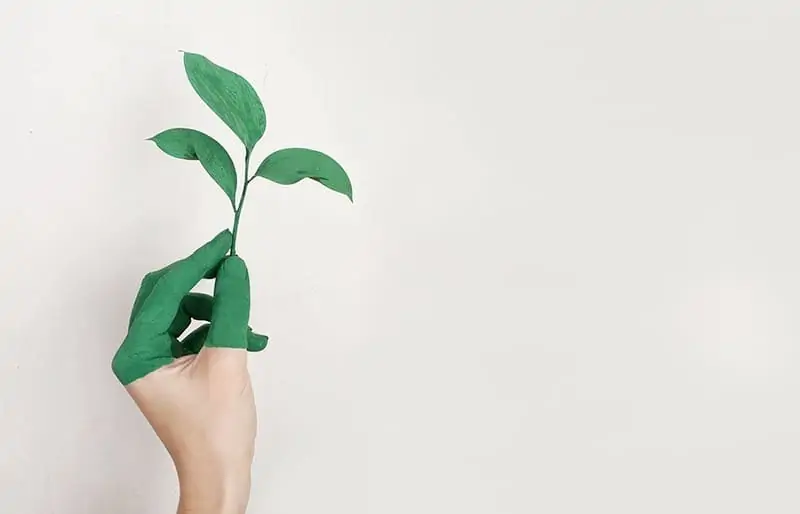 Sustainable insurance comparison