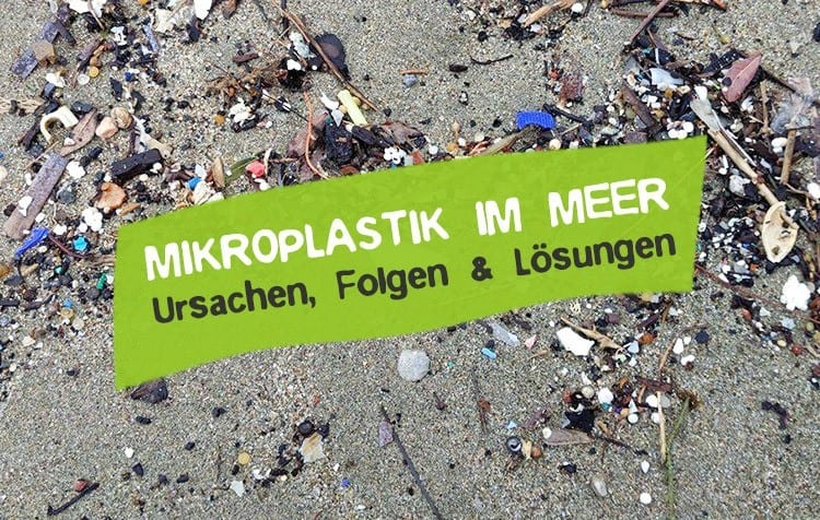 Mikroplastik im Meer und in der Umwelt