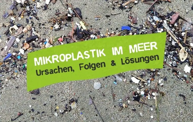 Mikroplastik im Meer und in der Umwelt