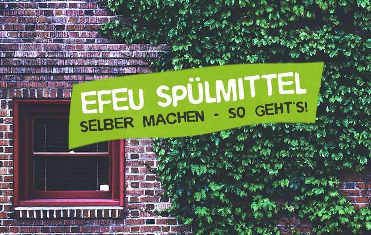 Spülmittel aus Efeu selber machen - Efeu Spüli