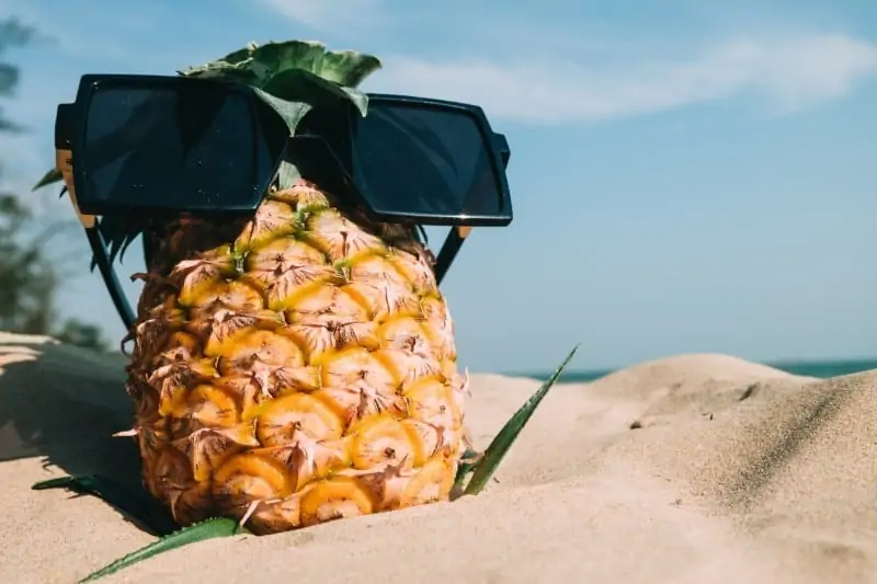 Vegan on vacation tips vegan on the road at the beach with pineapple