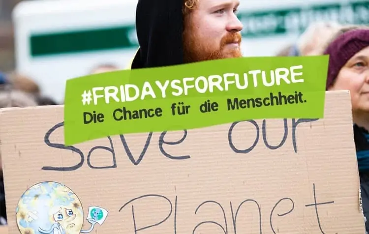 Fridays For Future Bewegung als Chance