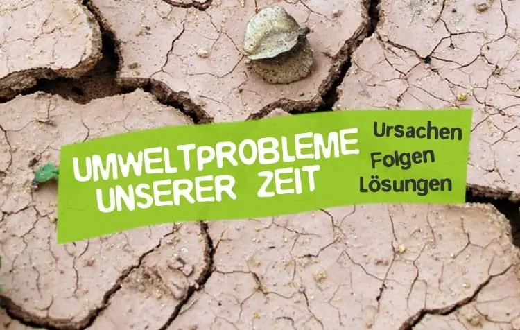 Umweltprobleme unserer Zeit- Ursachen und Lösungen