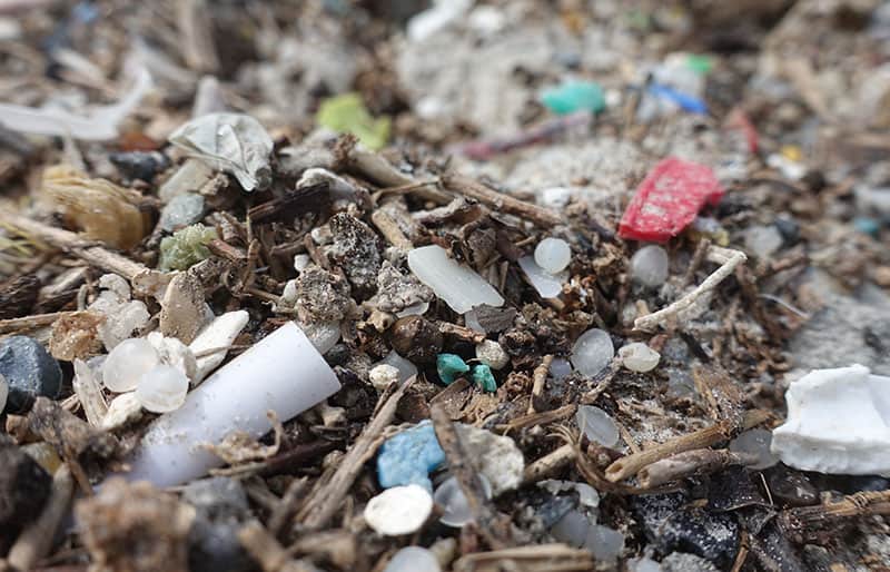 Plastik Alternativen aus der Forschung