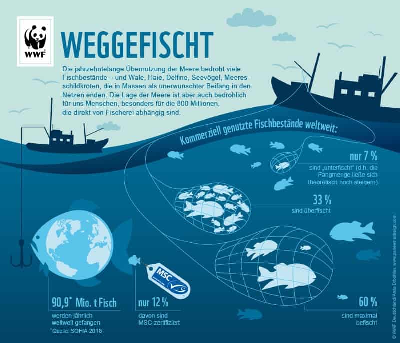 Overfishing of the oceans - facts, figures, statistics