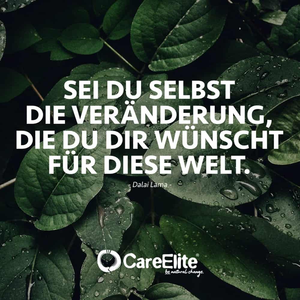 "We are living in dangerous times. Men control nature before they are even able to control themselves." (Albert Schweitzer)